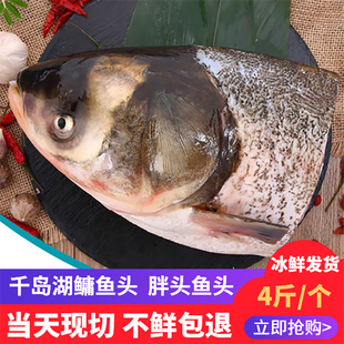 4斤个千岛湖鱼头新鲜胖头鱼，鳙鱼头鲢鱼头淡水鱼海鲜水产