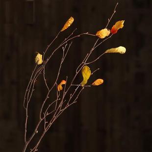 定制干枝干花客厅装饰枯树枝，装饰树叶装饰干枝树干树枝树装饰干花
