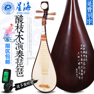 北京星海 演奏型琵琶乐器 成人考级8914-1DZ 定制酸枝木 红木琵琶