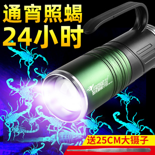 银诺蝎子灯充电手提手电筒超亮户外照蝎子强光紫光专用灯超长续航