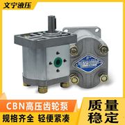 液压高压油泵CBN-F304 306 308 310 312 314 316 320 325 齿轮泵
