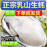 乳山生蚝鲜活5斤带箱海鲜水产海蛎子新鲜牡蛎肉即食整箱特大
