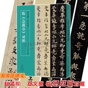 名家临名帖系列 赵孟頫 邓文原 临急就章对照 丁林 著 中国元代章草书法字帖名家毛笔字体技法临摹鉴赏范本书籍 河南美术出版社