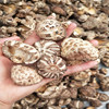 椴木花菇蘑菇500g袋装保康绿珍农家特产野生菇干货炒菜炖汤专用