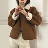 韩国chic秋冬法式复古翻领鹿皮绒拼接羊羔毛加厚(毛，加厚)保暖长袖短外套女