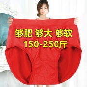 200-300斤加肥大码高腰，红色本命年三角内裤，女胖mm中老年妈妈短裤