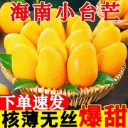海南芒果新鲜10斤小台芒水果，当季整箱红金玉大青煌三亚特产大果