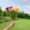 韩国风(韩国风)ins手捧花仿真花郁金香花束假花绢花民宿装饰摆拍拍照道具