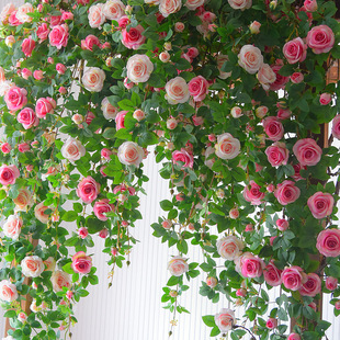 仿真玫瑰花网红瀑布墙壁假花空调，管道装饰花，藤条遮挡门头塑料藤蔓