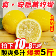 四川安岳黄柠檬5斤新鲜水果奶茶店专用皮薄一级香水酸柠檬青百香