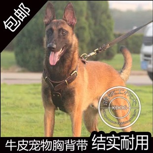 狗狗胸背带大型犬牵引绳狗链子，牛皮真皮德，牧马犬狗项圈狗背带胸带