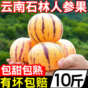 云南石林人参果10斤新鲜水果娃娃黄肉人心果人生果圆果当季整特产