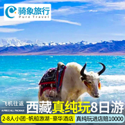 西藏旅行8人纯玩团无人机航拍拉萨旅游林芝纳木错8日游含往返机票