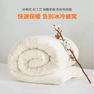 新疆长绒棉花被子被芯春秋，薄款冬被褥子，床垫全棉四季通用棉胎