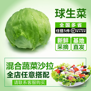 千牛优福球生菜500g新鲜蔬菜沙拉，食材汉堡球形西生菜5斤