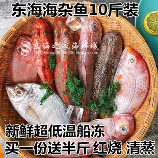 10斤装送半斤东海海杂鱼新鲜冷冻深海鱼海鲜水产品少刺无冰衣