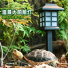 黄缘龟专用养殖箱，造景太阳能灯爬宠安缘乌龟，饲养缸布景装饰材料