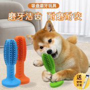 狗狗磨牙棒玩具耐咬大型犬边牧吸盘磨牙玩具解闷神器宠物狗用品