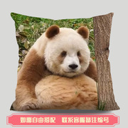 大熊猫抱枕福宝七仔花花萌兰润玥飞云网红熊猫周边礼物公仔靠枕