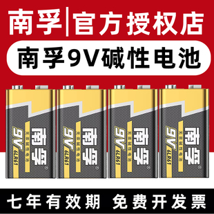 南孚电池9v碱性方块九伏6lr61烟雾报警器万用表，电池6f22叠层方形，玩具车儿童遥控器话筒麦克风干电池1604g