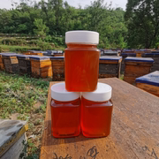 枣花蜜500克买3送1 80 90 00后女生喝的纯蜂蜜吕小蜂农家天然原蜜