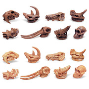 侏罗纪恐龙头骨考古学动物，骨头恐龙化石，模型玩具摆件儿童认知百科