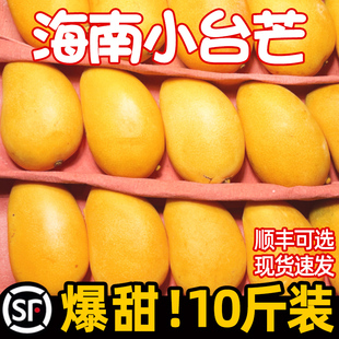 海南小台芒果新鲜10斤水果，小芒果整箱当应季特产大果小台农芒果甜