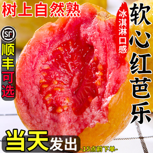 广西红心芭乐软糯番石榴5斤新鲜水果当季整箱，红巴乐水果低糖