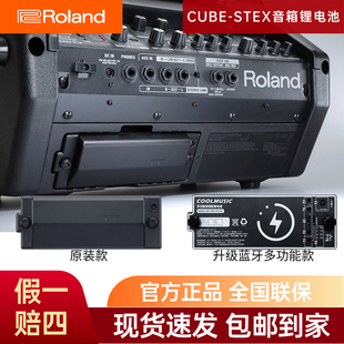 Roland罗兰ex户外音箱专用充电大容量锂电池多功能蓝牙移动电源