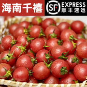 海南千禧圣女果5斤樱桃小番茄农家新鲜电白西红柿孕妇水果 c