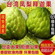 台湾大目凤梨释迦果5斤新鲜牛奶番荔枝热带水果大果孕妇