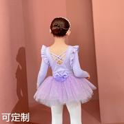 儿童舞蹈服紫色棉，长袖女童练功服考级，中国舞幼儿芭蕾舞纱裙