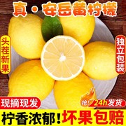 四川安岳黄柠檬(黄柠檬)新鲜水果，皮薄当季整箱，香水甜青柠檬小金桔特产