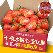正宗福建千禧冰糖心圣女果，5斤新鲜水果西红柿自然熟蔬菜小番茄
