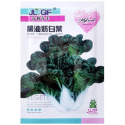 黑油奶白菜种子矮脚油菜小白菜种籽耐热耐寒青菜农家菜园蔬菜种孑