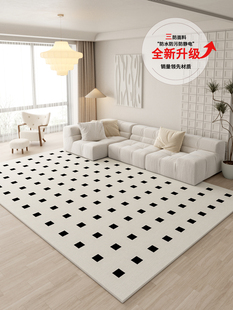 简约线条客厅地毯现代北欧茶几毯轻奢，法式免洗可擦地毯家用卧室