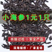 淡干小海参干货辽参底播海产品迷你非鲜活即食熬粥商用无污染刺参