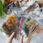 植物花卉PET手机贴纸ins风 周末花店 透明手帐拼贴装饰素材防水