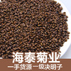 决明子药食同源 熟决明子茶炒决明子沙滩枕芯花草茶