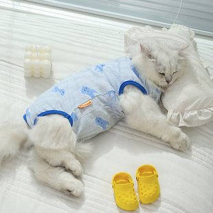 猫咪衣服防掉毛夏季薄款的布偶猫小猫宠物幼猫可爱猫猫夏天护肚衣