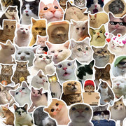 50张猫咪搞笑贴纸日常笔记本，电脑手机壳ipad，可爱行李箱贴画装饰