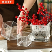 水培郁金香正方形玻璃花瓶绿萝水养植物器皿乌龟缸摆件插花盘桌面