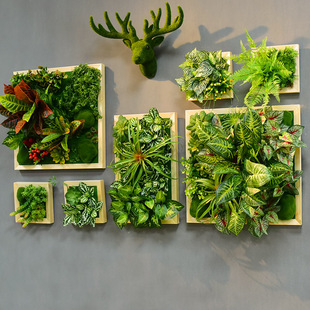 仿真绿植墙面植物多肉装饰假花墙壁，酒店相框挂饰餐厅鹿头壁挂墙饰