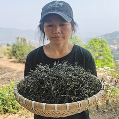 2024年昔归古树紫芽头春纯料云南普洱古树生茶300年紫茶古法手工