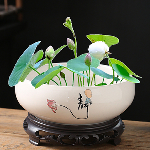 碗莲一叶莲荷花铜钱草，水培器皿陶瓷，创意水仙花盆无孔专用大号口径