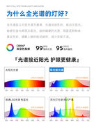 归根护眼吸顶灯客厅灯现代简约家用大气全光谱灯具大厅主灯超亮