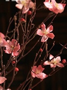 桃花 落地干花树枝树枝装饰干花枝干花花束真花干枝干花客厅装饰