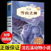 雪山之神 沈石溪动物小说系列 全集珍藏版儿童文学经典课外书籍适合小学生的课外书三至四五六年级课外书阅读小学读的看的书全套