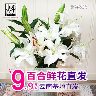 香水百合花鲜花云南昆明基地直发批鲜切家用水养插花同城速递生日