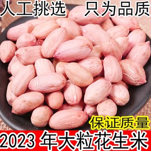 花生米生新山东新货2023年大颗粒农家新鲜特大特级今年花生仁